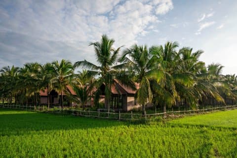 Mekong Delta 3-daagse reis in Tra Vinh Ben Tre op lokale manier