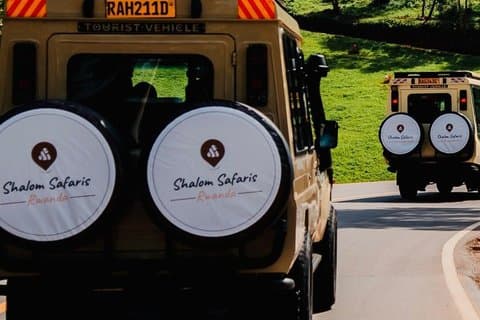 1-tägige Gorilla-Trekking-Safari-Tour