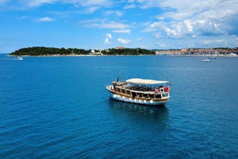 Sunset Boat Trip with Dolphin Watching in Novigrad