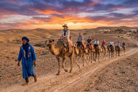 Marrakech: All-in-one Agafay CAMEL, middag, show & transport.
