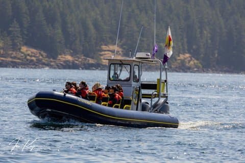 Campbell River, BC: 6 timers whale observation tur med frokost inkluderet