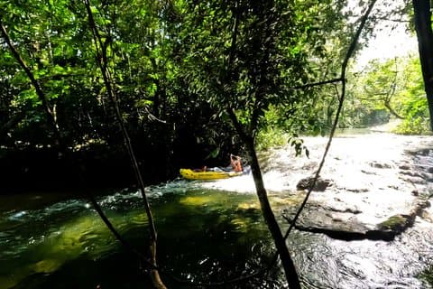 Learn Kayaking and Paddle a Jungle River