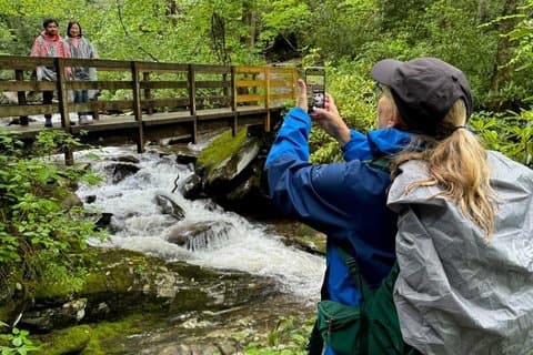 Easy Smoky Mountains Hiking Tour | Creekside and Forest
