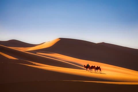 6 Day Mongolian Gobi Experience