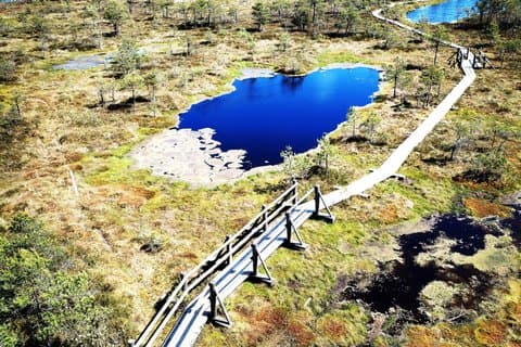 Kemeri National Park Bog Pista de caminhada com Jurmala tour privado