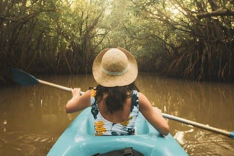 Lagoon Kayaking Tour from Negombo