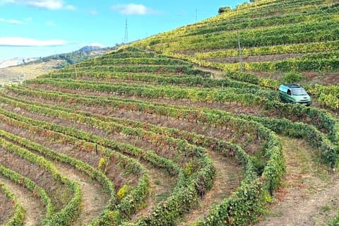 Douro i fyrhjulsdriven vinprovning, lunch och båttur