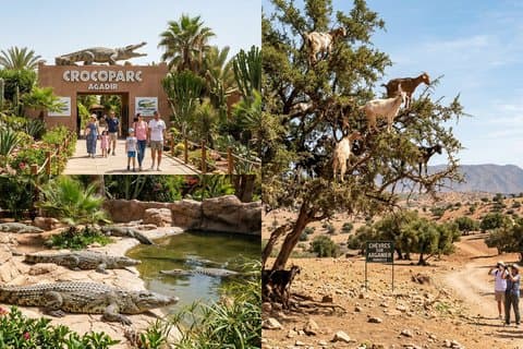 Agadir Family Tour: Crocoparc Entry & Goats Climbing Trees