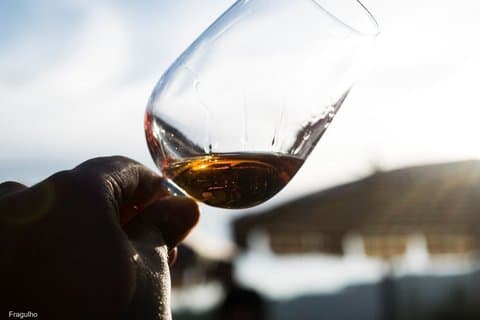 Douro Valley Wine Tour (with the producers)