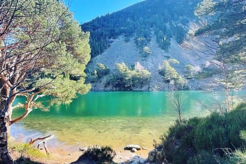 Private Tour durch den Cairngorm Nationalpark