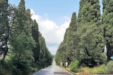 Florenz Private Tagesausflug Bolgheri Weinerlebnis e Volterra