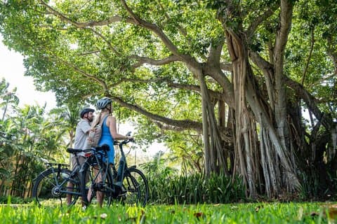 Visite autoguidée à vélo de pignons de corail avec application