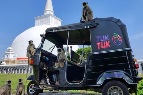 Anuradhapura: Tuk Tuk Tour at Ancient City with Audio Guide