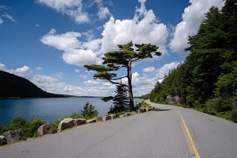 3 Hours: Insider's Acadia with Somes Sound & Historic Villages