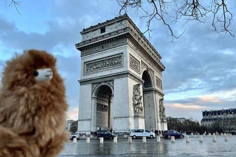 Tour de un día por la ciudad en coche