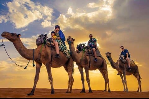 Marrakech: Camel Ride and Sunset & Dinner Show no Deserto de Agafay