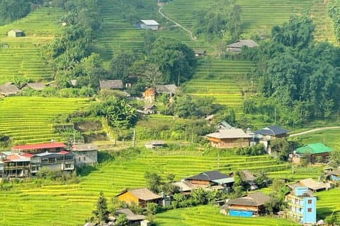 Sapa: Trek to Y Linh Ho, Lao Chai & Ta Van with Local Guide