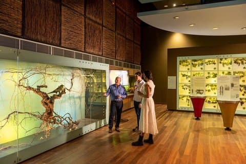 Visite guidée et dégustation à Adélaïde