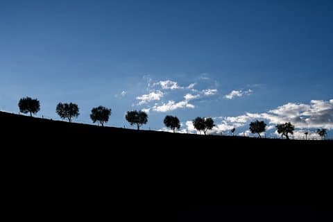 Pinhão Sunset Trail