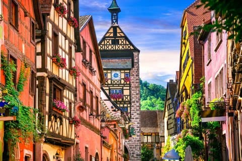 Elsässische Dörfer & Weingüter : Halbtägige private Tour ab Colmar