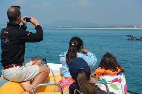 Sesimbra - Observation of Dolphins in Family with Marine Biologist