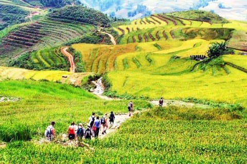 Sapa Rice Terrace Trek and Traditional Hmong Batik Experience