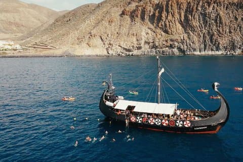 3h Viking Cruise med drikkevarer, hvalobservasjon og svømmetid