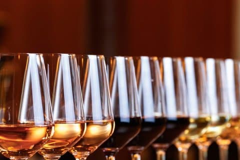 Oinos Wine Bar Workshop