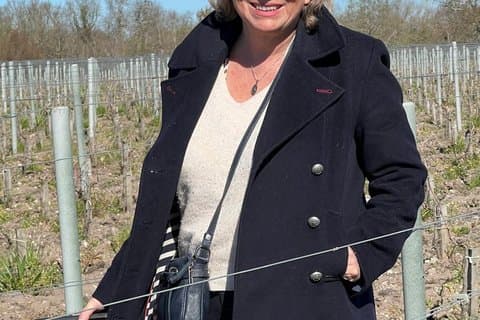 Private Wine Lovers Tour - Gorgeous Graves & Sauternes, discover the diversity