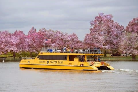 DC Combo: 1-Day Water Taxi Pass & Hop-on Hop-off Bus Tour