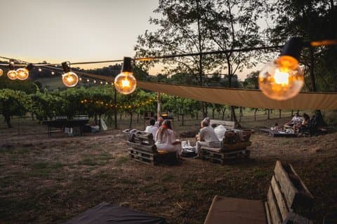 Je vous souhaite la bienvenue dans mon vignoble : dégustation privée