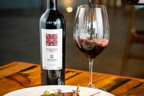 Weinberg-Erlebnis mit Führung und ausgewählter Verkostung