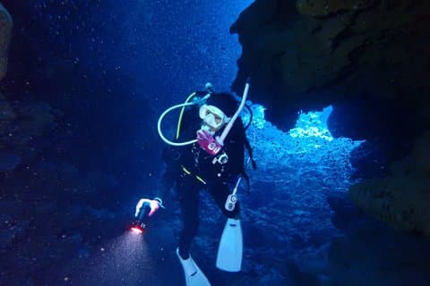 【Okinawa・Ishigaki Island】Night Diving Tour