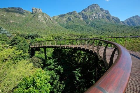 Journée complète de Kirstenbosch et dégustation de vin avec World of Birds Tour