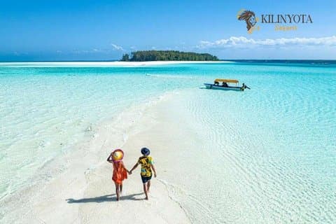 4 dages privat safari Zanzibar til Serengeti og Ngorongoro