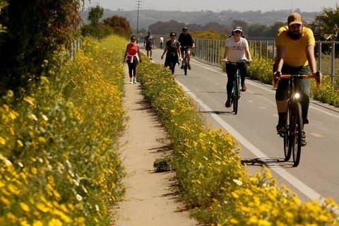 Faites du vélo autour de la baie de San Diego jusqu'à l'océan