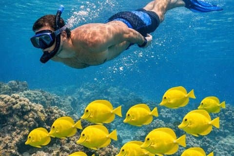2.5 Hour Morning Snorkel