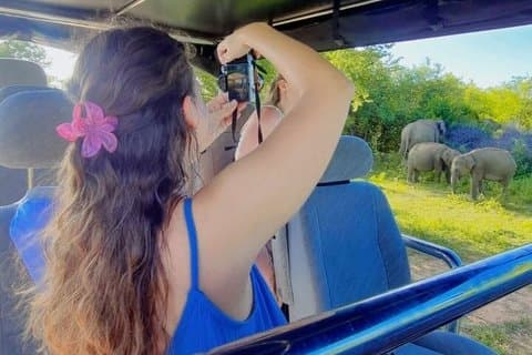 Visite safari à Udawalawa en jeep privée avec prise en charge à l'hôtel