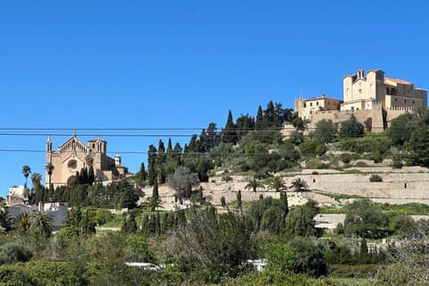 Autentiska Mallorca Tour Artà Market och lokal lunch