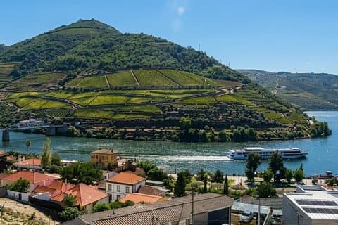 From Porto Douro by Train, Wine Tasting and Cruise in Rabelo