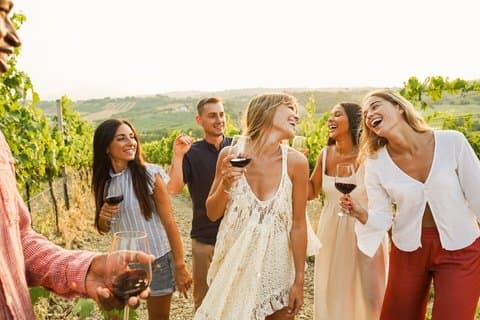 Cappadocia : Esperienza di degustazione di vini locali