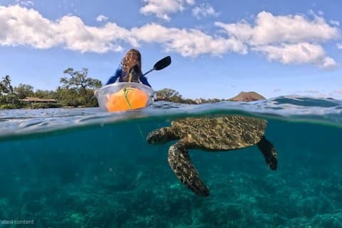 Turtle Town Clear Kayak & Snorkel Tour - Foto gratuite incluse