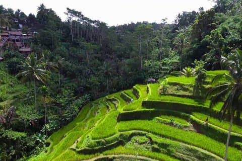 Bali Benoa Escursione a terra per i passeggeri della crociera All-Inclusive