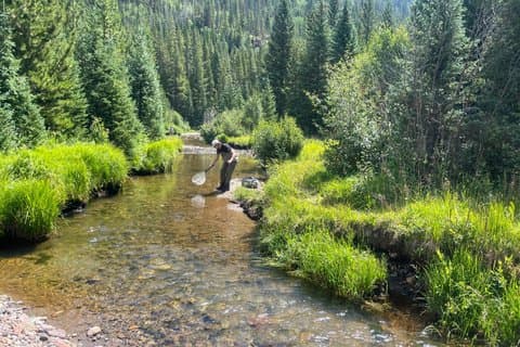 8 Hours Guided Fly Fishing Trips in Rocky Mountain National Park