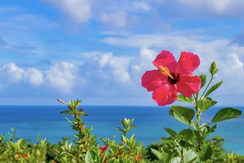 Okinawa Private Custom Tour mit Ortskundiger Reiseleiter