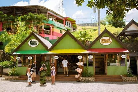 Bob Marley's Nine Mile-dagtrip met rondleiding vanuit Montego Bay
