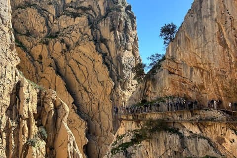 Tour privato di Malaga Marbella Caminito del Rey