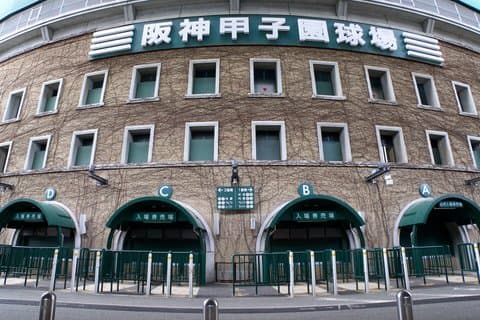 Hanshin Koshien Baseball Heritage Private Guide Tour