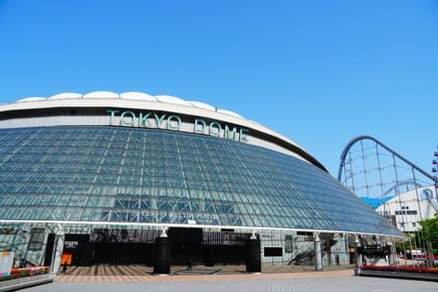 Tokyo Baseball Watching Guided Tour com bilhetes de jogo