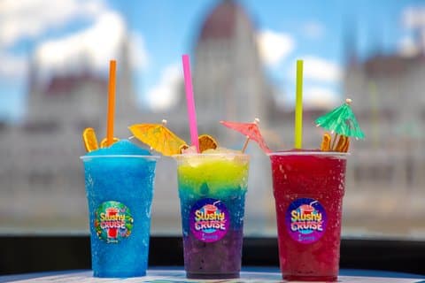Budapest 1 - Crucero turístico de una hora por el Danubio con Slushy ilimitado